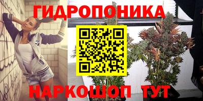 spice Братск
