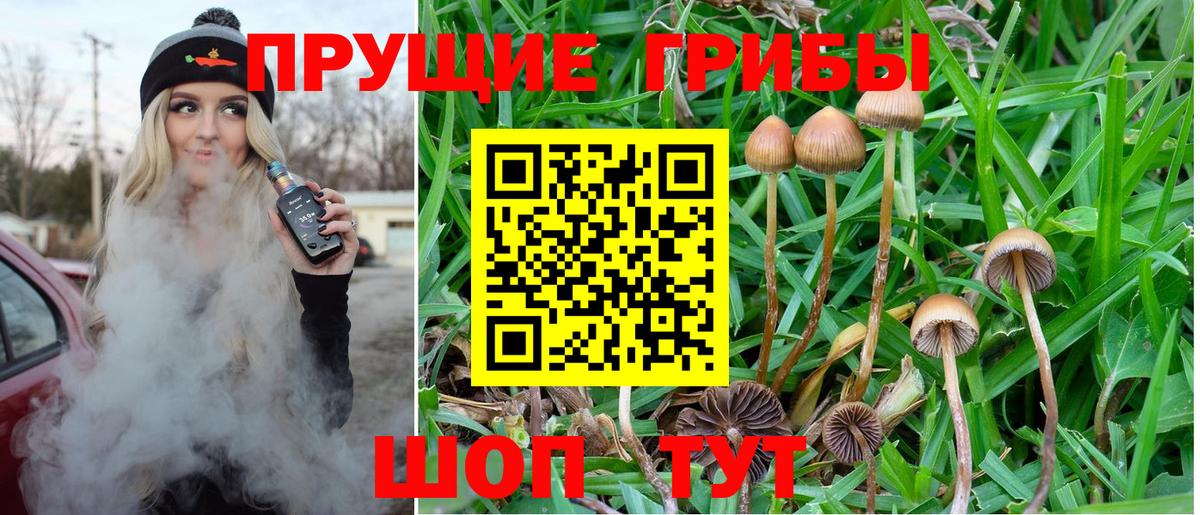 Псилоцибиновые грибы Magic Shrooms Верхняя Пышма