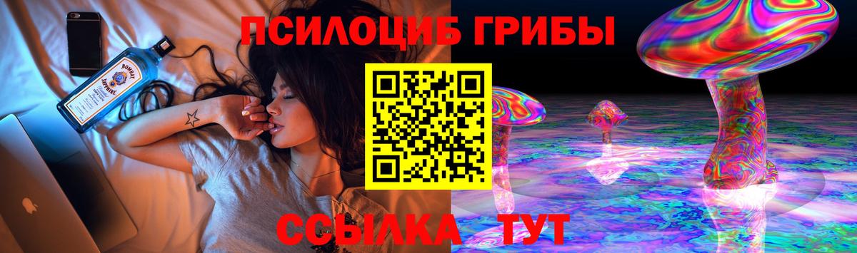 купить   Галлюциногенные грибы Psilocybe  Вход с VPN  Верхняя Пышма 